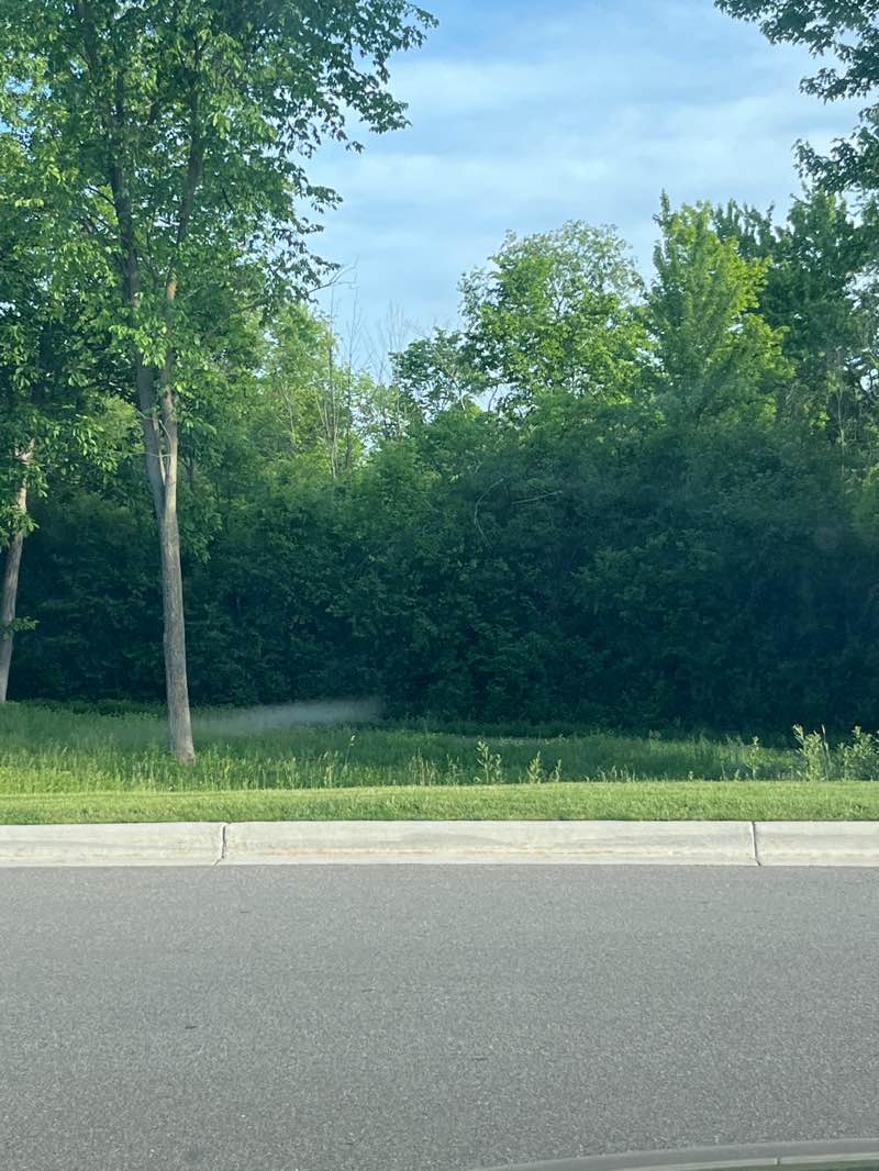 walking near me in Drake Sports Park in summer