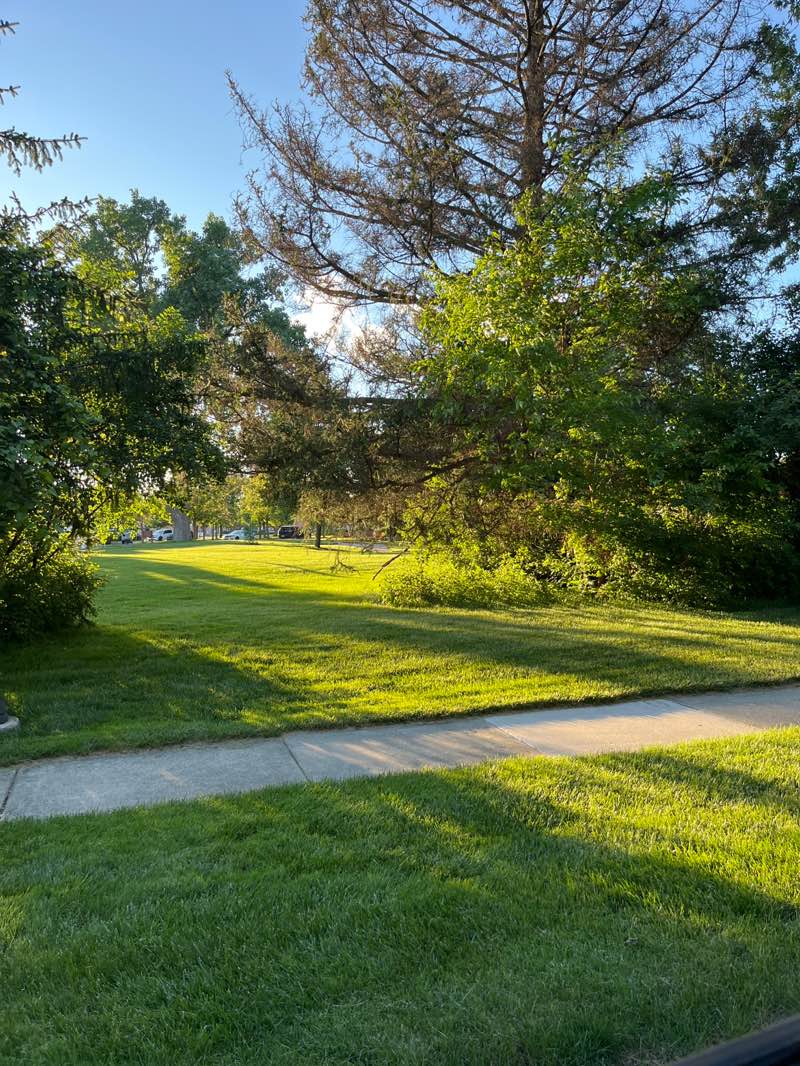 walking near me in Municipal Park in summer