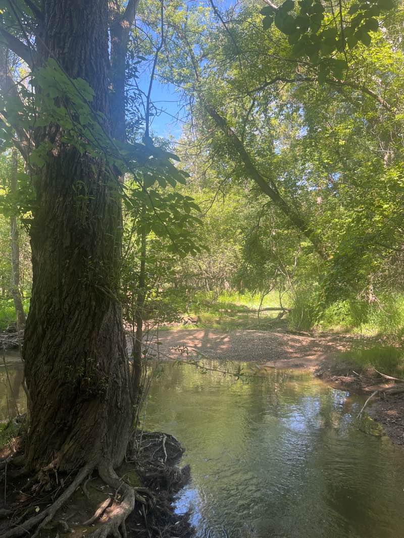 walking near me in Heritage Park in summer