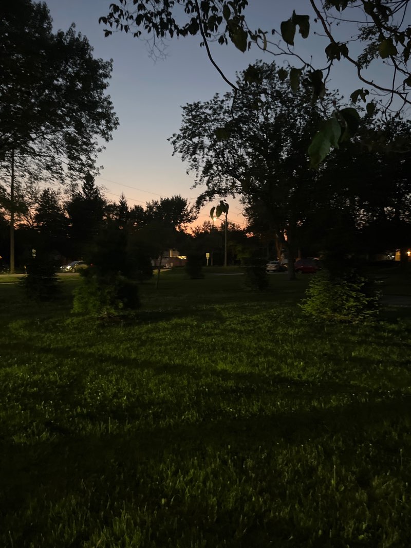 walking near me in Fries Park in summer