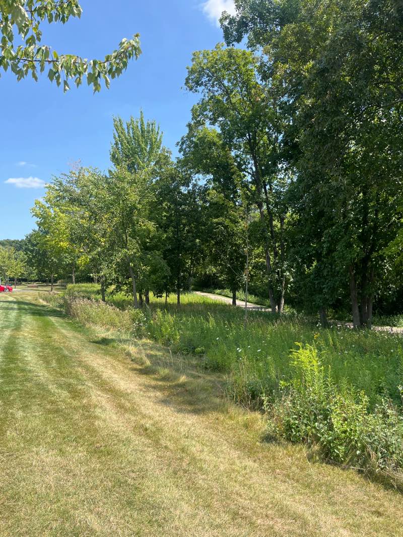 walking near me in Drake Sports Park in summer
