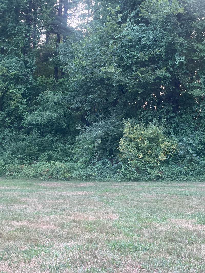 walking near me in Proud Lake State Recreation Area in summer