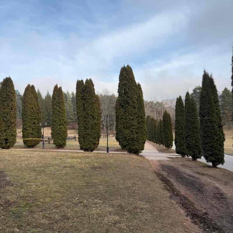 10000 шагов с Марбисано Марбисано post image