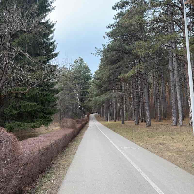 10000 шагов с Марбисано Марбисано post image