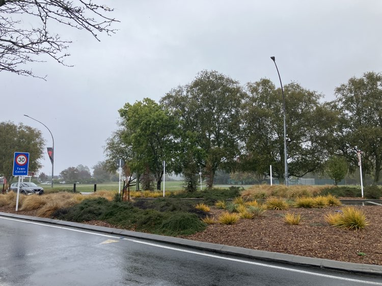 walking near me in Tongariro Domain in autumn