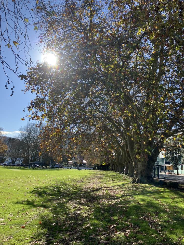 walking near me in Victoria Park in winter