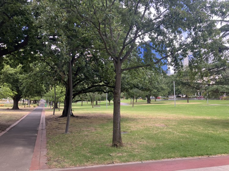 walking near me in Box Hill Gardens in summer