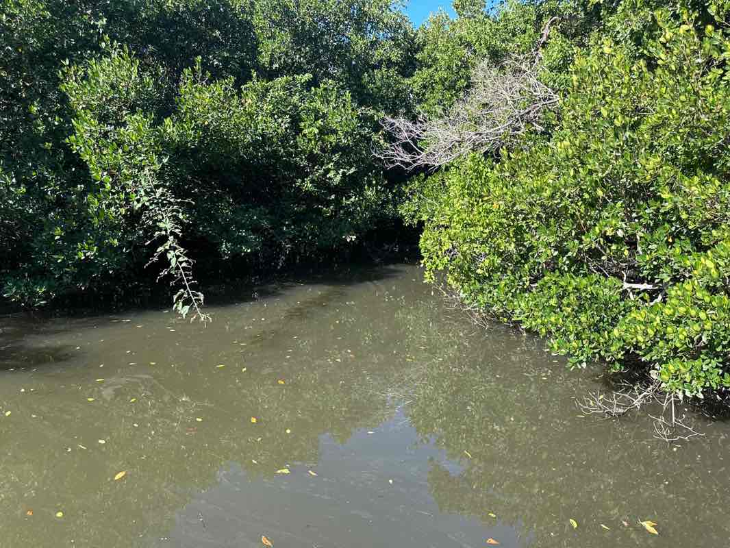 walking near me in Baker Park in autumn