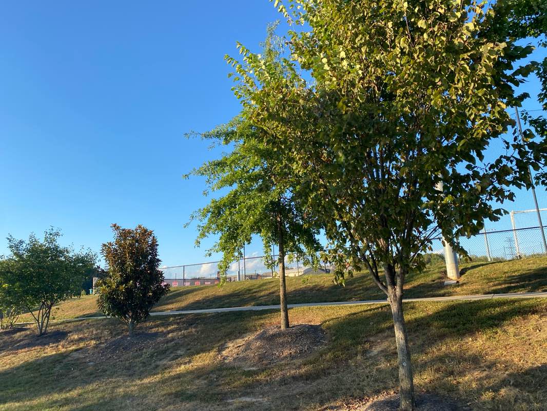 walking near me in C. Lacey Compton Neighborhood Park in autumn