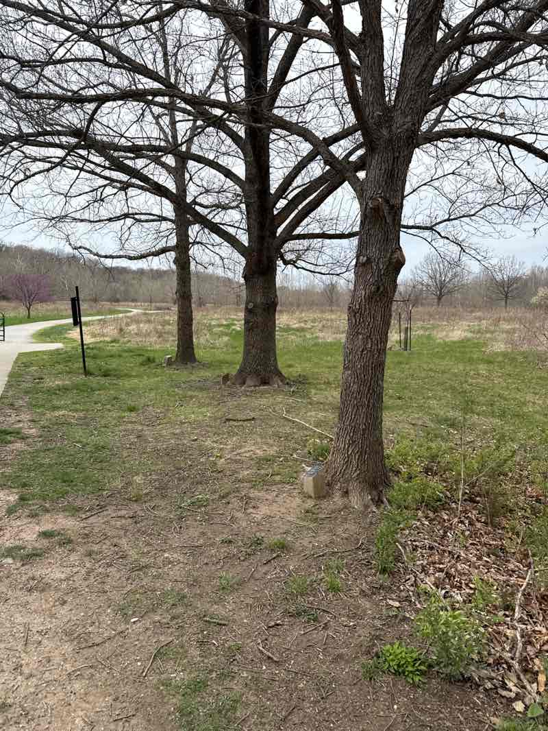 walking near me in Forum Nature Area in spring