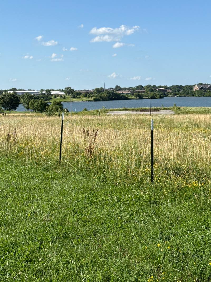 walking near me in A. Perry Philips Park in summer