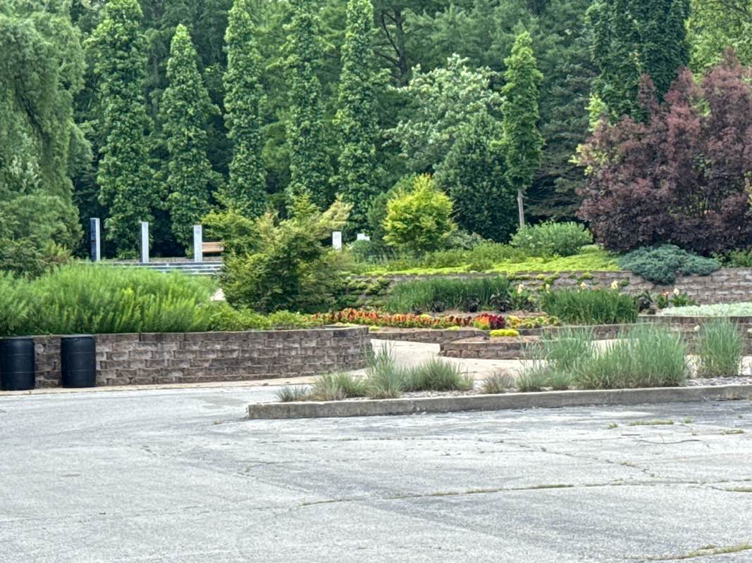 walking near me in Martin Luther King, Jr. Memorial at Battle Garden in summer