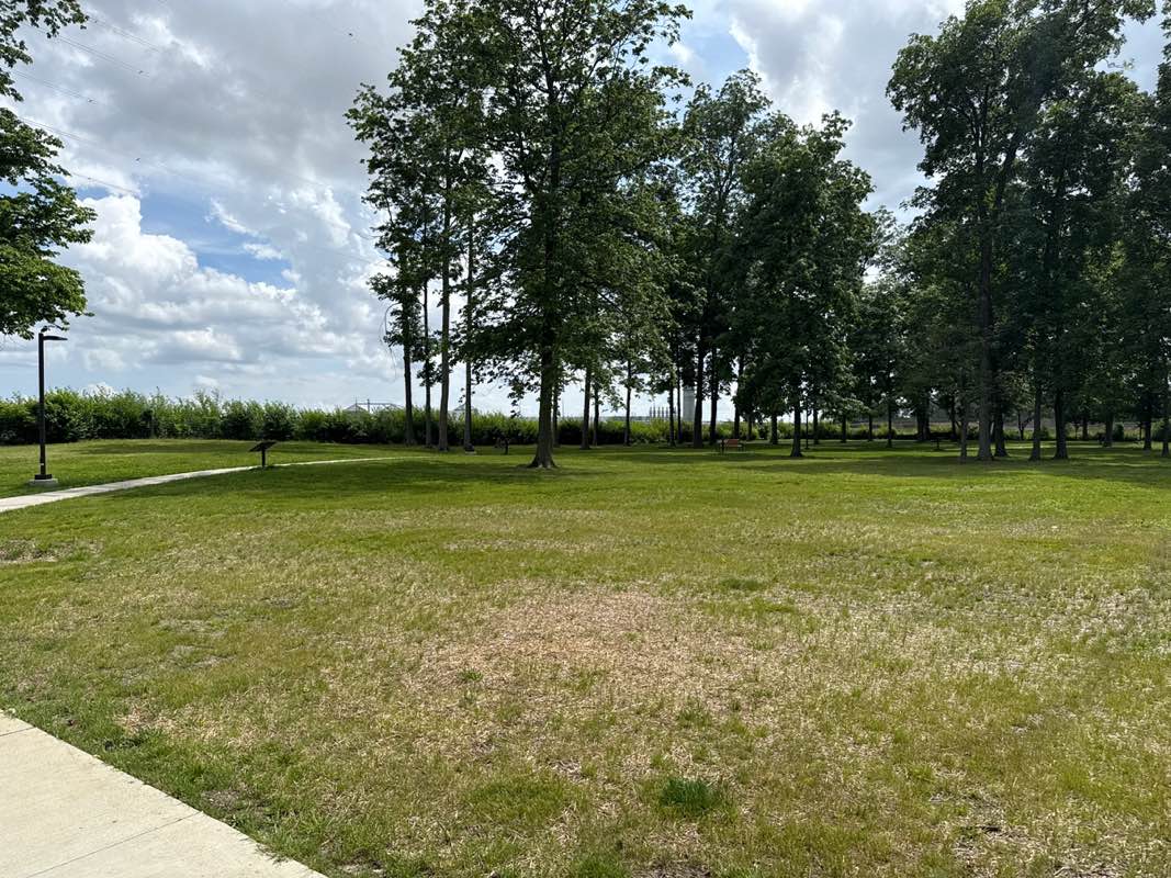 walking near me in Dupre Roadside Park in summer