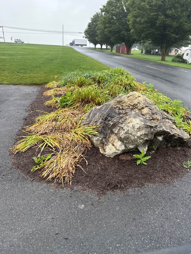 walking near me in Intercourse Community Park in summer