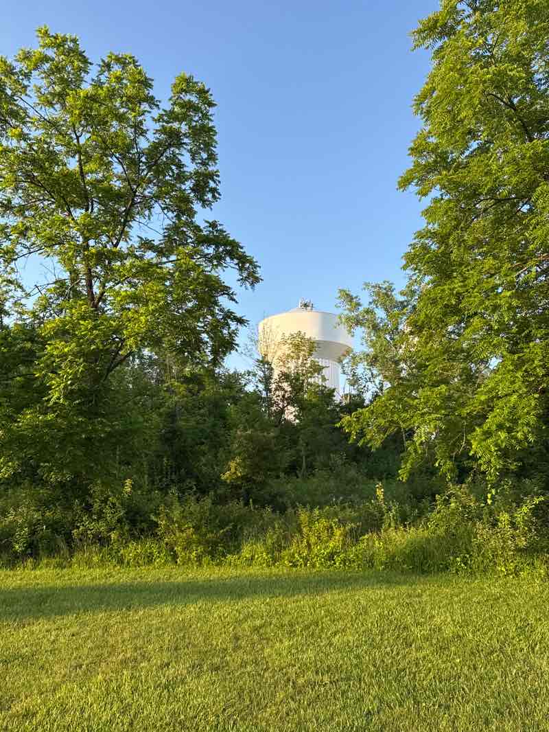 walking near me in Gerspacher Park in summer