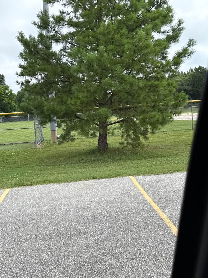 walking near me in American Legion Park in summer