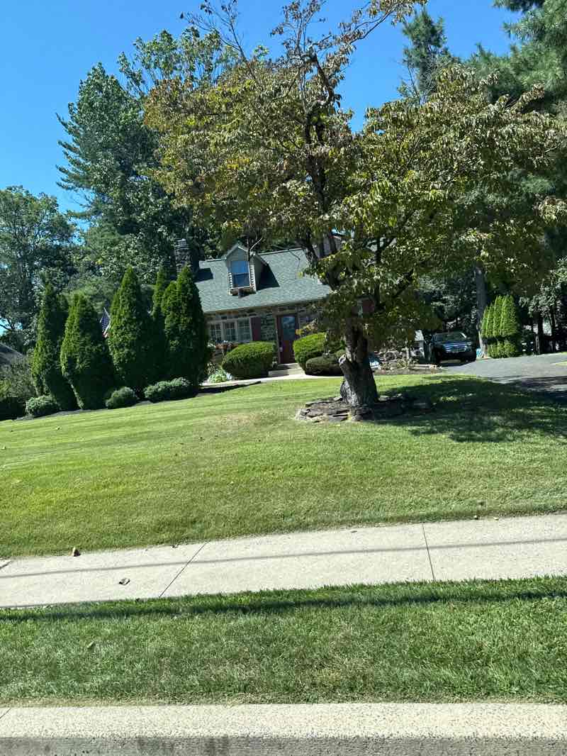walking near me in Collegeville Community Park in autumn