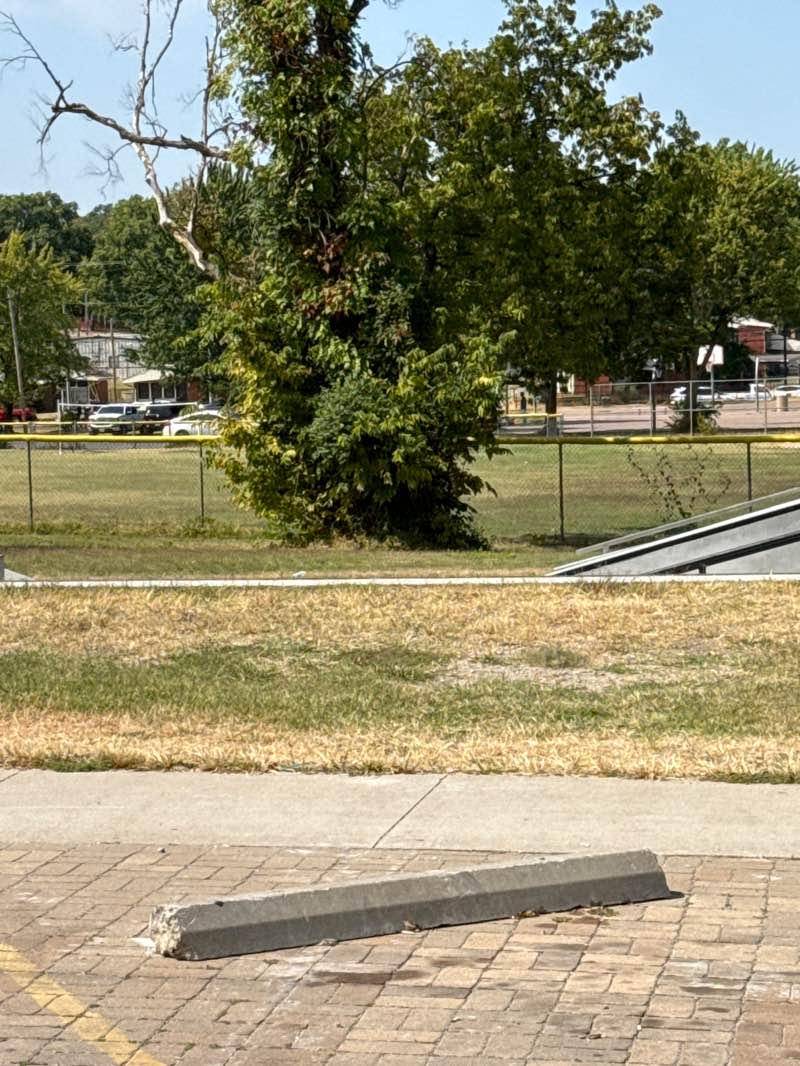walking near me in Douglas Park in autumn