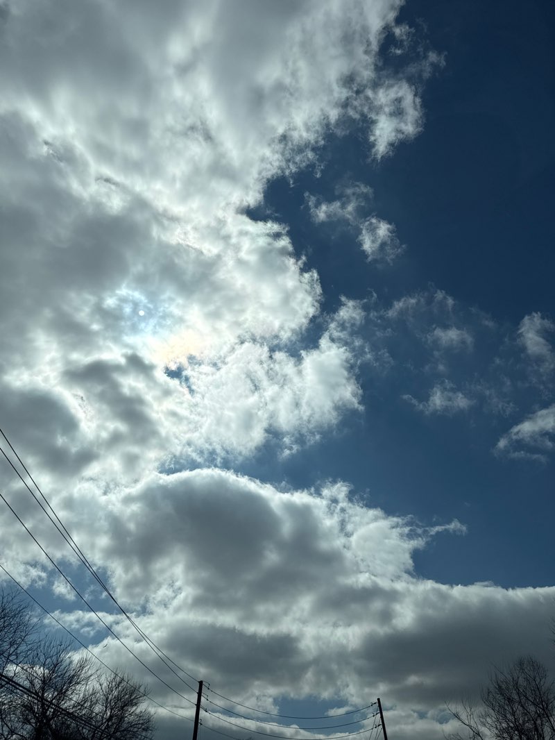 walking near me in Woods Edge Park in spring
