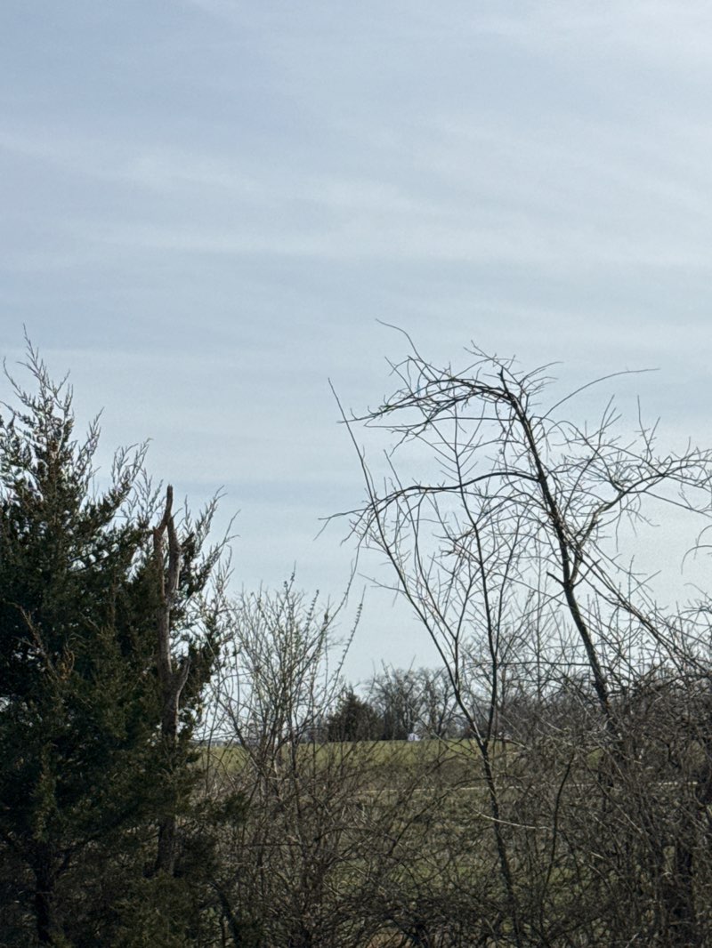 walking near me in Missouri Department of Conservation in spring