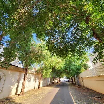 إمشوا تصحوا 🏃🏽‍♂️ INSTA:The_thinker3 post image