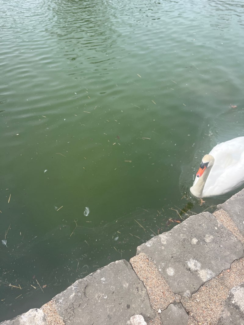 walking near me in Riverside Park and Zoo in spring