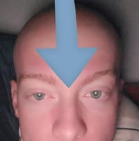 Jackson Carr profile