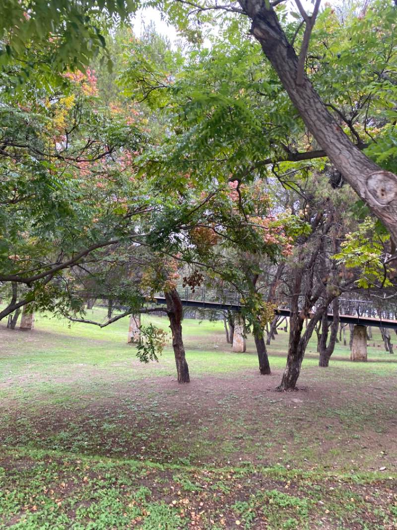 walking near me in Parque Bosques Del Valle in winter
