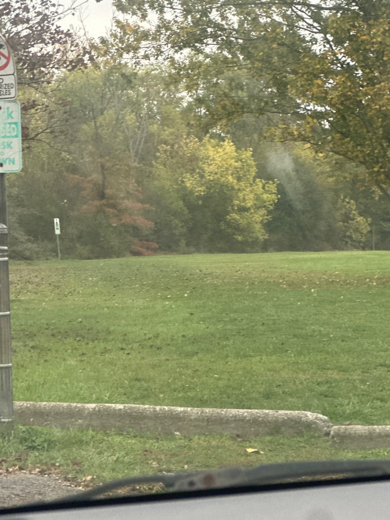 walking near me in Glennwood Park in autumn