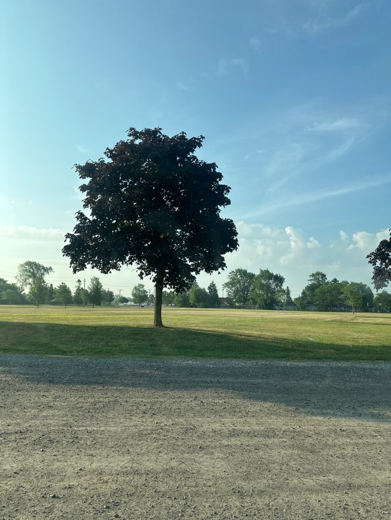 walking near me in Memorial Park in autumn