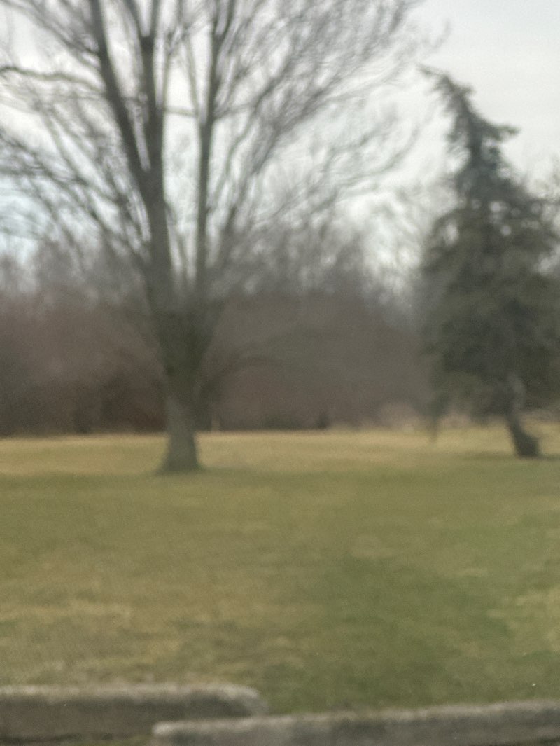 walking near me in Glennwood Park in spring