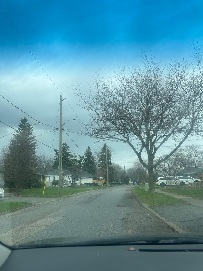 walking near me in Centennial Gardens in spring