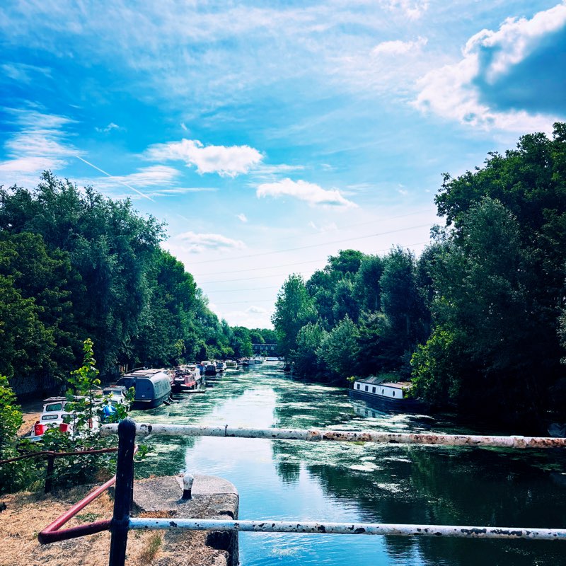 walking near me in Queen Elizabeth Olympic Park in summer