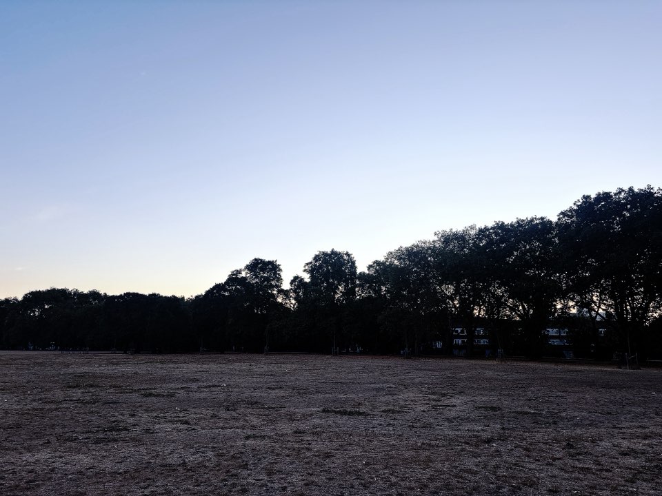 walking near me in Victoria Park in summer