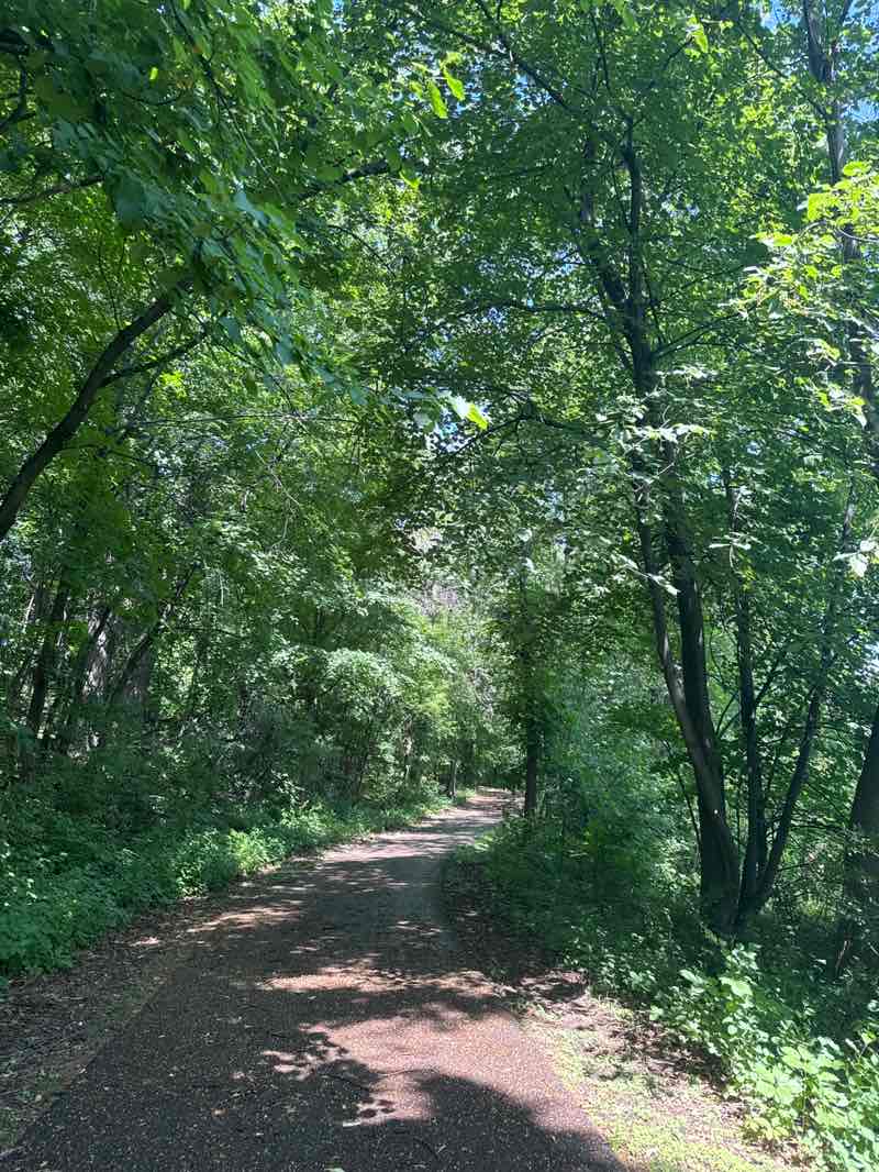 walking near me in Shadow Creek Linear Park in summer