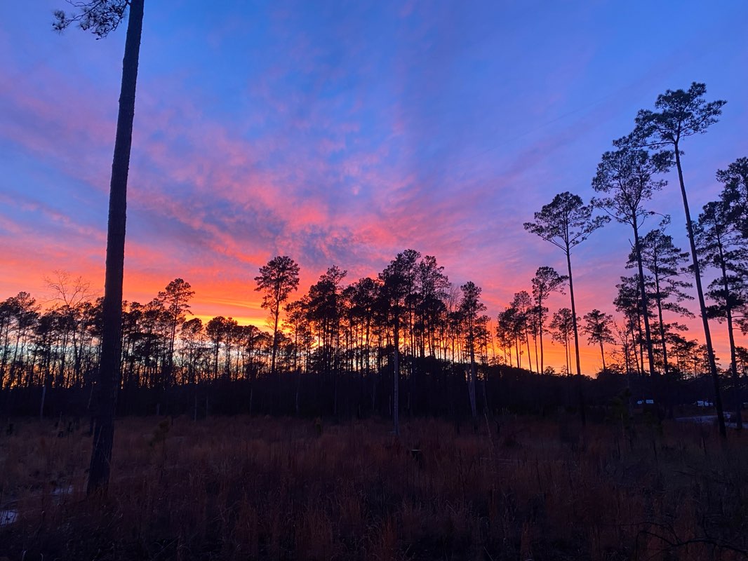 walking near me in Goose Creek State Park in winter