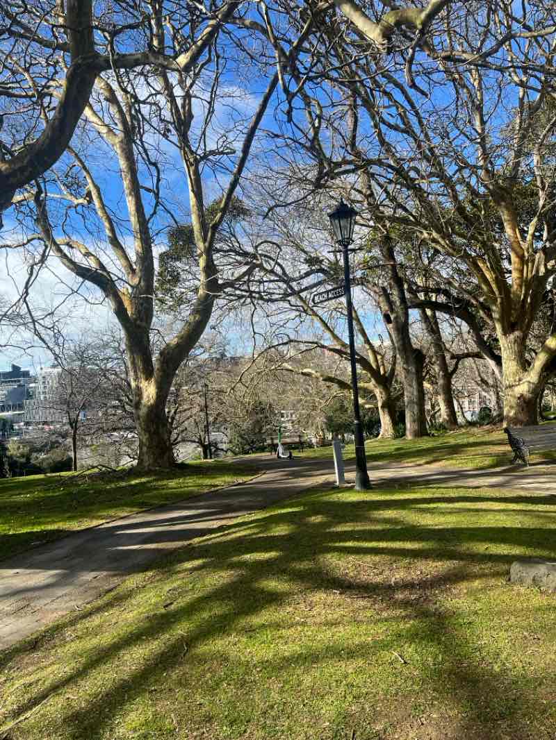 walking near me in Albert Park in winter
