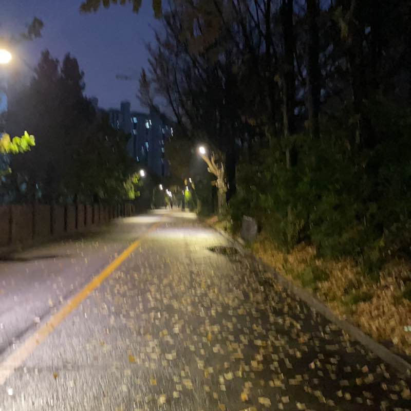 진단검사 조현종 post 1