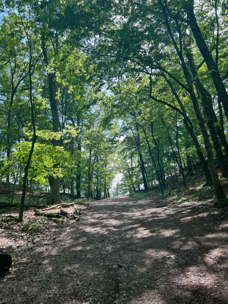 walking near me in Rising Park in spring