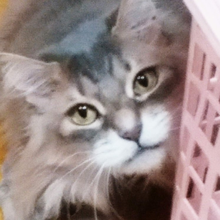 あーちゃん profile