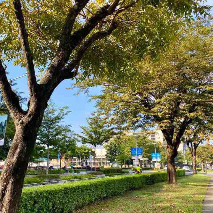 Christine Navales post 3