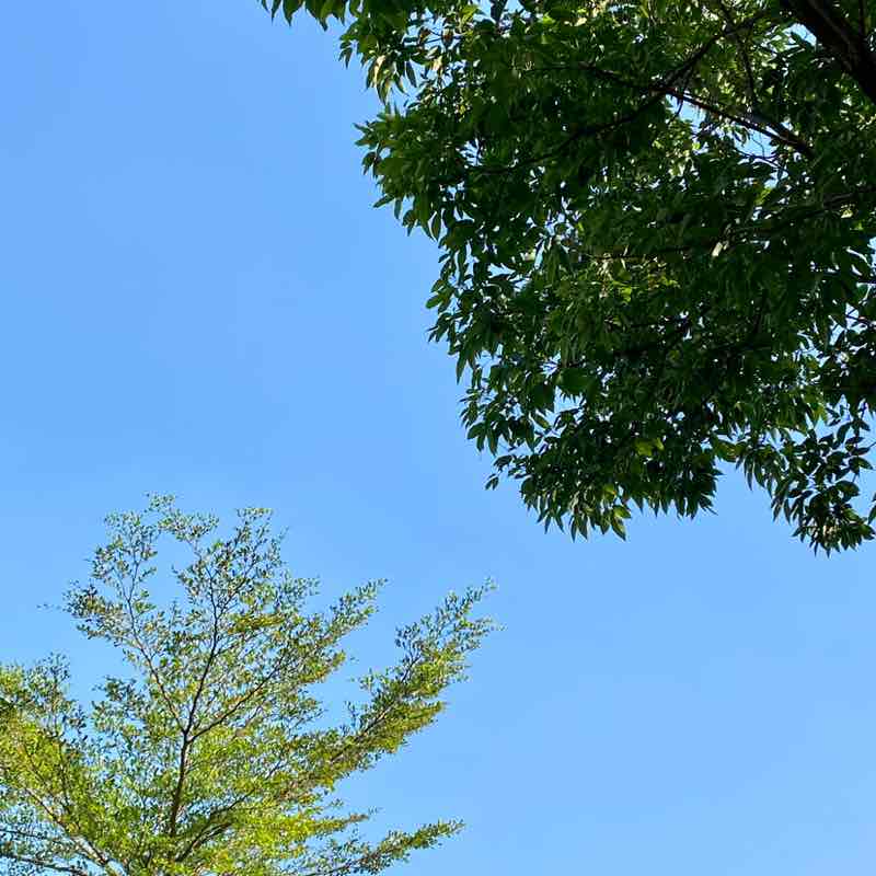 Christine Navales post 1