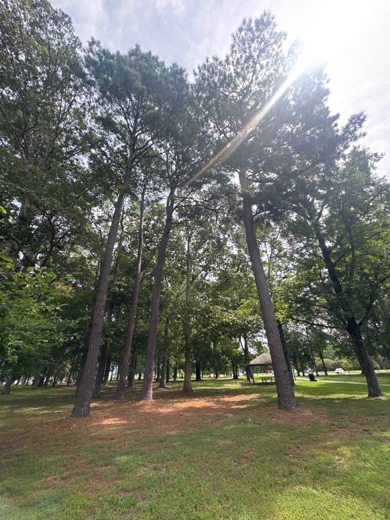 walking near me in Princess Anne Commons Gateway Park in summer