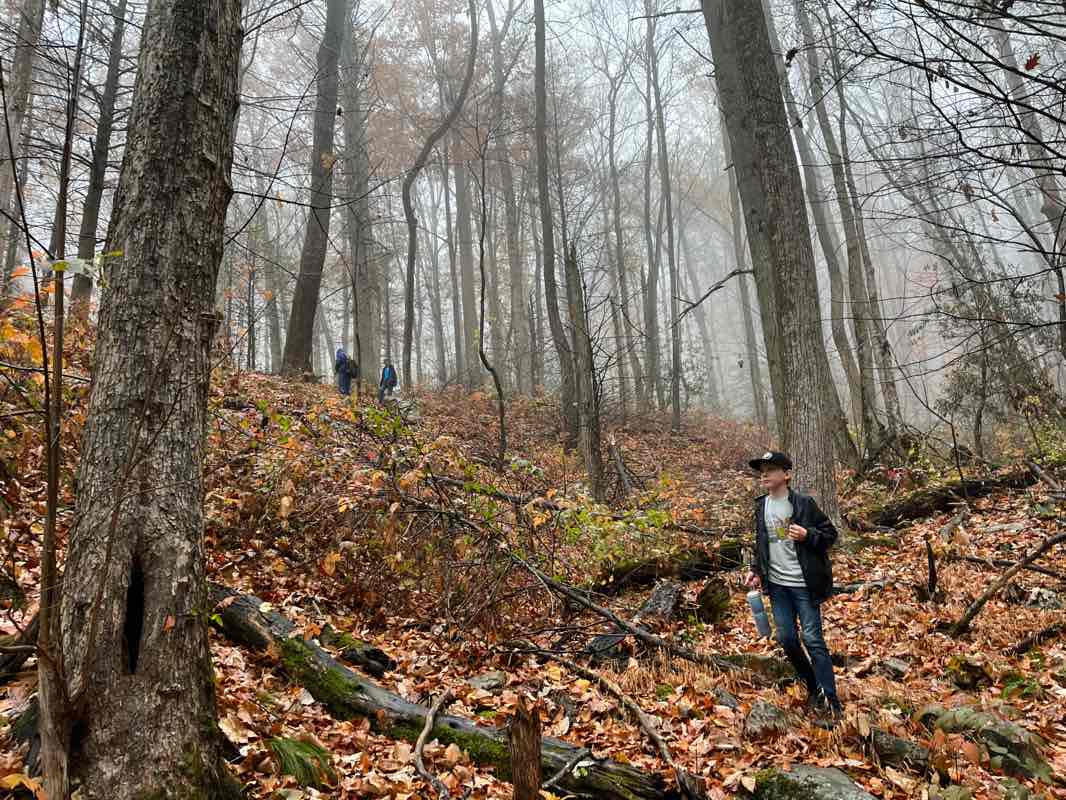 walking near me in Cohutta Wilderness in winter