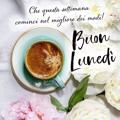 amici love Gaetano post image