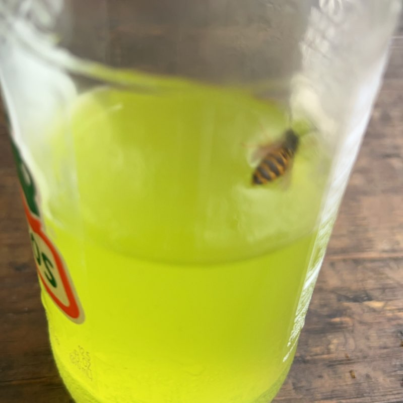 🙈gangyyy Jheimy post image