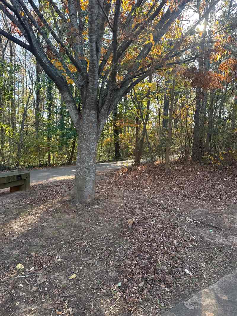 walking near me in Lucky Shoals Park in autumn