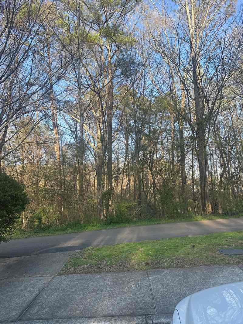 walking near me in Lucky Shoals Park in spring