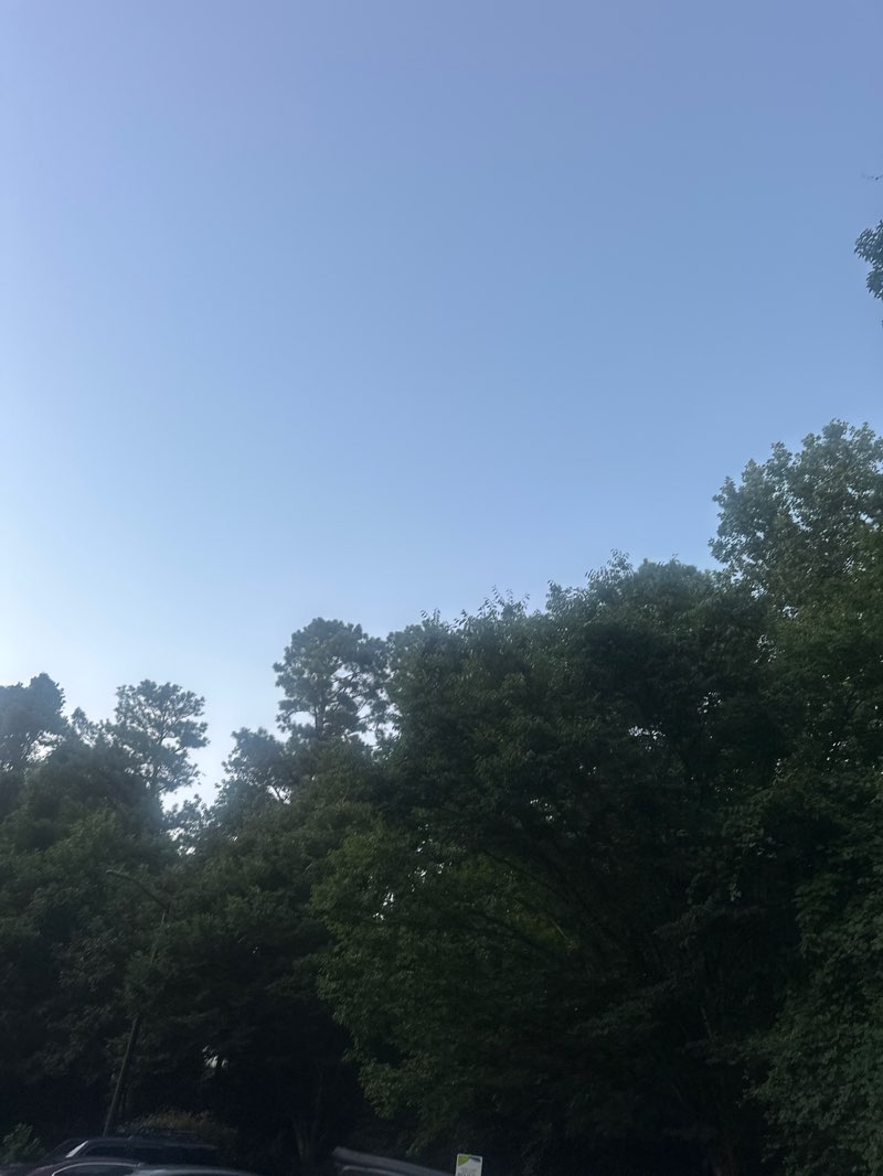 walking near me in Lucky Shoals Park in summer