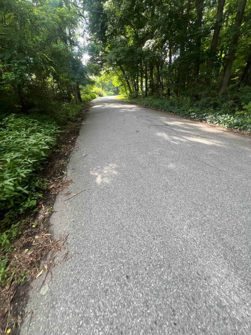 walking near me in Cashman Field in winter